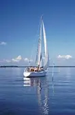 Segelbåtar i tävlingen Vinö Sail Race, 1988