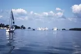 Segelbåtar i tävlingen Vinö Sail Race, 1988