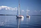 Segelbåtar i tävlingen Vinö Sail Race, 1988