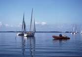 Segelbåtar i tävlingen Vinö Sail Race, 1988