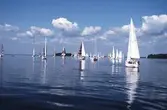 Segelbåtar i tävlingen Vinö Sail Race, 1988