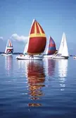 Segelbåtar i tävlingen Vinö Sail Race, 1988