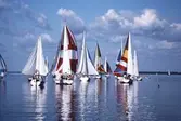 Segelbåtar i tävlingen Vinö Sail Race, 1988