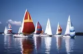 Segelbåtar i tävlingen Vinö Sail Race, 1988