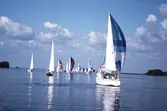 Segelbåtar i tävlingen Vinö Sail Race, 1988