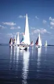 Segelbåtar i tävlingen Vinö Sail Race, 1988