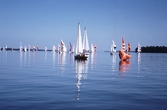 Segelbåtar i tävlingen Vinö Sail Race, 1988