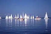 Segelbåtar i tävlingen Vinö Sail Race, 1988