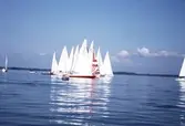 Segelbåtar i tävlingen Vinö Sail Race, 1988