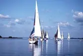 Segelbåtar i tävlingen Vinö Sail Race, 1988