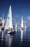 Segelbåtar i tävlingen Vinö Sail Race, 1988