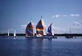 Segelbåtar i tävlingen Vinö Sail Race, 1988
