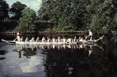Drakbåtsfestival, 1991