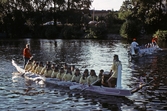 Roddare i Drakbåtsfestivalen,1991