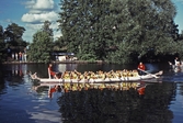 Roddare i Drakbåtsfestivalen,1991