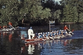 Roddare i Drakbåtsfestivalen,1991