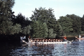 Roddare i Drakbåtsfestivalen,1991