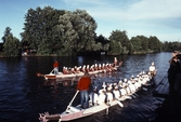 Roddare i Drakbåtsfestivalen,1991