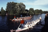 Roddare i Drakbåtsfestivalen,1991