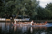 Roddare i Drakbåtsfestivalen, 1992