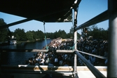 Publik under Drakbåtsfestivalen, 1994