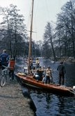 Segelbåt i Hamnen, 1981