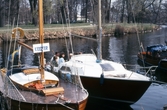 Segelbåtar i Hamnen, 1981