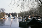 Segelbåtar under Båtens dag, 1981