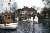 Segelbåtar i Svartån, 1981