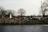 Publik under båtens dag, 1981