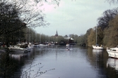 Segelbåtar i Hamnen, 1982