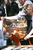 Fiskförsäljning under båtens dag, 1983