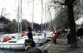 Segelbåtar vid Hamnen, 1983