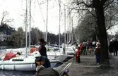 Segelbåtar vid Hamnen, 1983