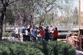 Fiskförsäljning under båtens dag, 1984