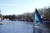 Brädsegling under båtens dag, 1984