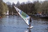 Vindsurfare på Svartån, 1984