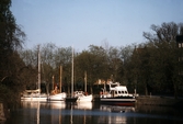 Gåstbåtar i Hamnen, 1984