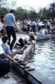 Barkbåtstillverkning, 1984