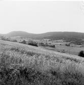 Utsikt från Kapellsberg.