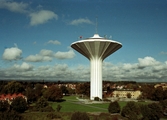 Svampen, 1991