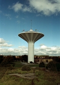 Svampen, 1991