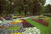 Sommarplantering i Stadsparken, 2002