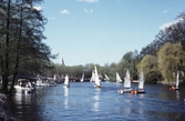 Segeljollar i Hamnen, 1985