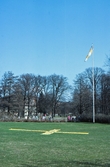 Landningsplats för fallskärmshoppare, 1985