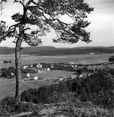 Nyland vid Ångermanälven, från Nylandsberget.