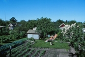 Kolonistugor i SJ: koloniområde, 1988