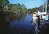 Fiskar med metspö, 1992