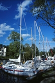 Segelbåtar i Hamnen, 1993