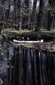 Kanoting längs Svartån, 1997